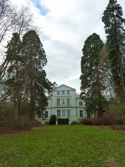 Bild 1 von 2 Mammutbäume am Gut Ringelsbruch